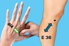 Image montrant les 2 points d'acupuncture contre l'arthrose et l'arthrite. ledegoteur.fr
