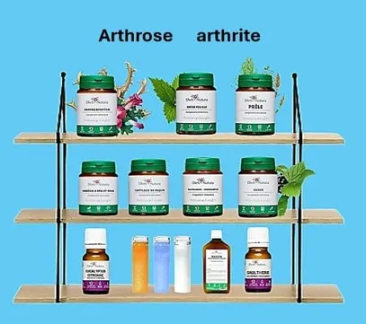 Image montrant tous les remèdes naturels contre l'arthrose et l'arthrite. ledegoteur.fr