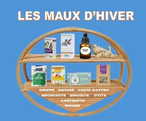 1 Image de présentation De l'article Maux d'hiver ledegoteur.fr