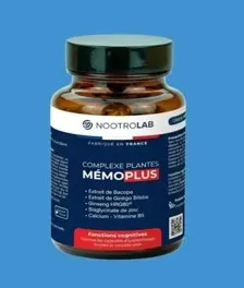 1 Mémoplus ledegoteur.fr