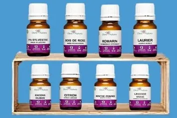 3 8 huiles essentielles Pour stimuler la mémoire ledegoteur.fr