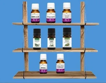 4 8 Huiles essentielles utilisées pour les maux d'hiver ledegoteur.fr