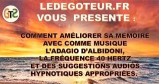 4 Cadeau Battement binauro Pour stimuler la mémoire ledegoteur.fr