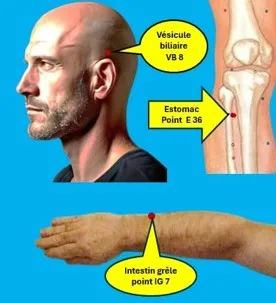 5 3 points d'acupuncture Pour réguler l'appétit ledegoteur.fr