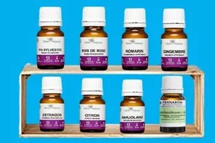 5 8 huiles essentielles Pour le transit ledegoteur.fr