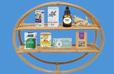 5 Plantes et infusions Pour les maux d'hiver ledegoteur.fr