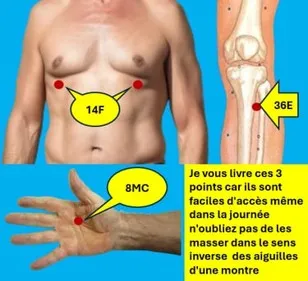 6 3 points d'acupuncture Pour réguler le cholestérol ledegoteur.fr